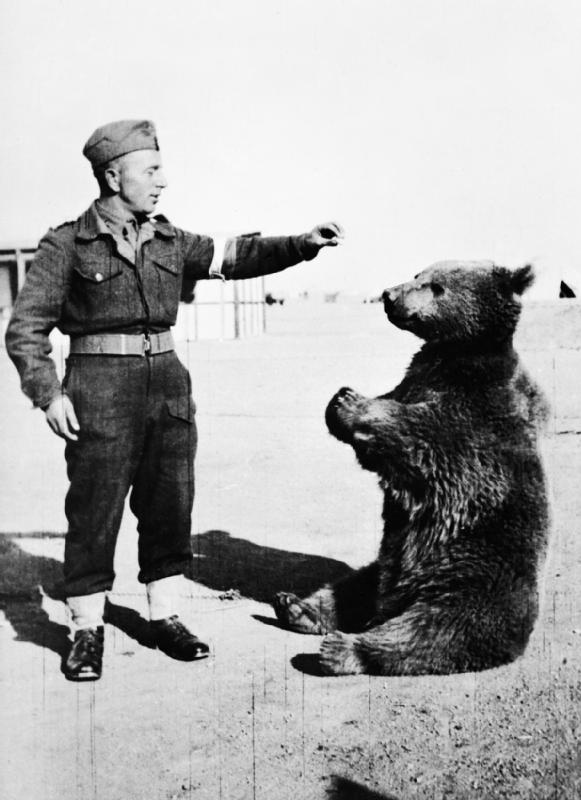 Wikimedia CommonsWojtek sits with a Polish soldier, 1942.